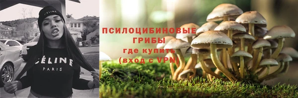 молекула духа Пересвет