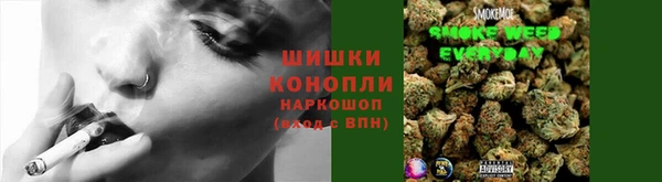 молекула духа Пересвет