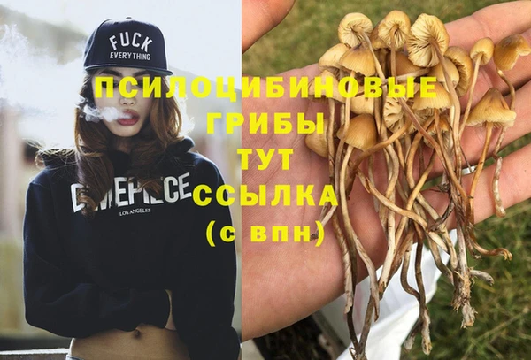 гидропоника Осташков