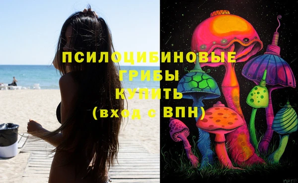 jwh Пестово